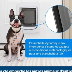 PetSafe Adaptateur Pour Porte Connect E Pour Animaux Smartdoor< Portes Et Chatières