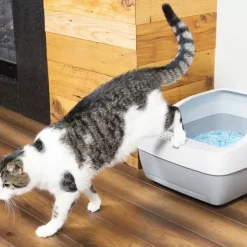 PetSafe Bac Liti Re Crystal Deluxe< Formation Interne & Nettoyage