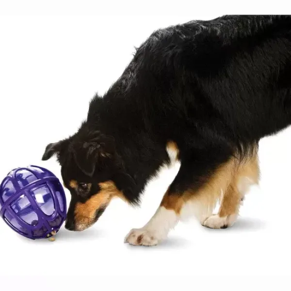 PetSafe Boule Distributrice De Nourriture Busy Buddy® Kibble Nibble< Jouets Distributeurs De Friandises