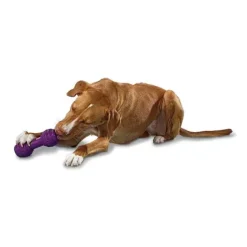 PetSafe Busy Buddy® Chuckle< Jouets Distributeurs De Friandises