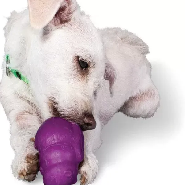 PetSafe Busy Buddy® Squirrel Dude< Jouets Distributeurs De Friandises
