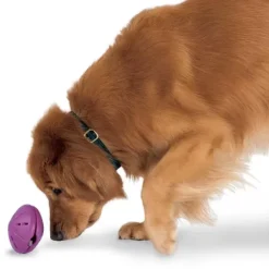 PetSafe Busy Buddy® Twist 'N Treat< Jouets Distributeurs De Friandises