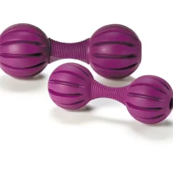 PetSafe Busy Buddy® Waggle< Jouets Distributeurs De Friandises