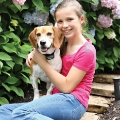 PetSafe Cl Ture Anti-Fugue Avec Fil Rechargeable< Clôtures Anti-Fugue Avec Fil