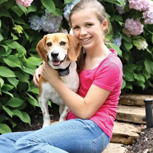PetSafe Cl Ture Anti-Fugue Avec Fil Rechargeable< Clôtures Anti-Fugue Avec Fil