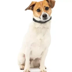 PetSafe Collier Anti-Aboiement Nanobark< Électrostatique