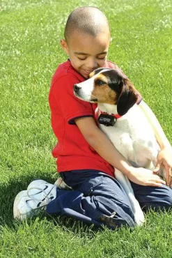 PetSafe Collier Anti-Aboiements< Électrostatique