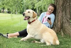 PetSafe Collier-R Cepteur Suppl Mentaire Add-A-Dog® Pour Chien T Tu Pour Le Syst Me Anti-Fugue Sans Fil Stay & Play® Wireless Fence< Systèmes Anti-Fugue