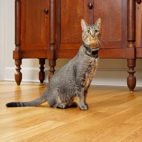PetSafe Collier-R Cepteur Suppl Mentaire Pawz Away®< Systèmes De Contournement