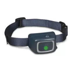 PetSafe Collier-R Cepteur Suppl Mentaire Add-A-Dog Pour Syst Me De Dressage Jet De ®< Systèmes De Dressage