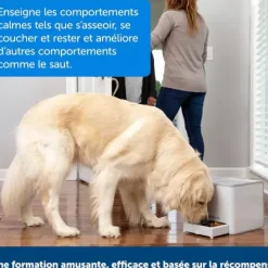 PetSafe Dispositif De Dressage Par R Compense T L Command Teach & Treat De ®< Clickers