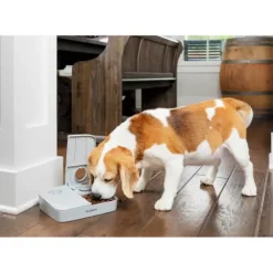PetSafe Distributeur Automatique De Croquettes Pour 2 Repas De ®< Distributeurs De Nourriture