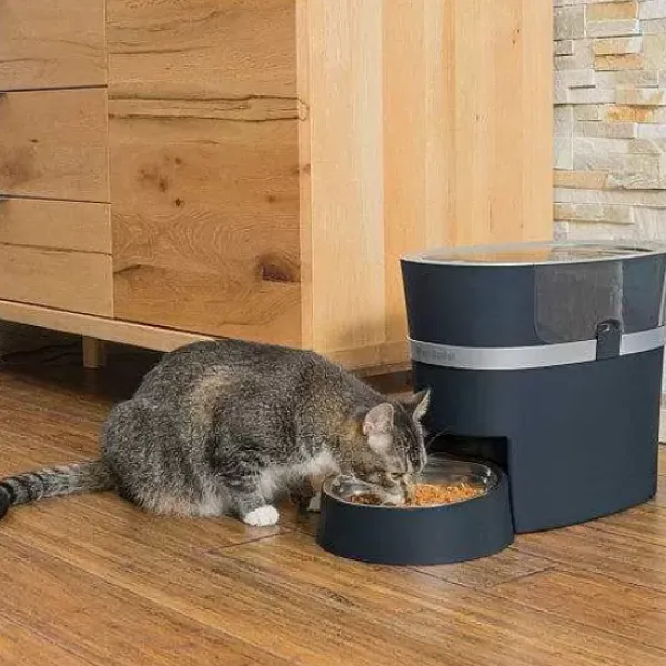 PetSafe Distributeur De Croquettes Connect Smart Feed De ® Pour Chiens Et Chats< Distributeurs De Nourriture