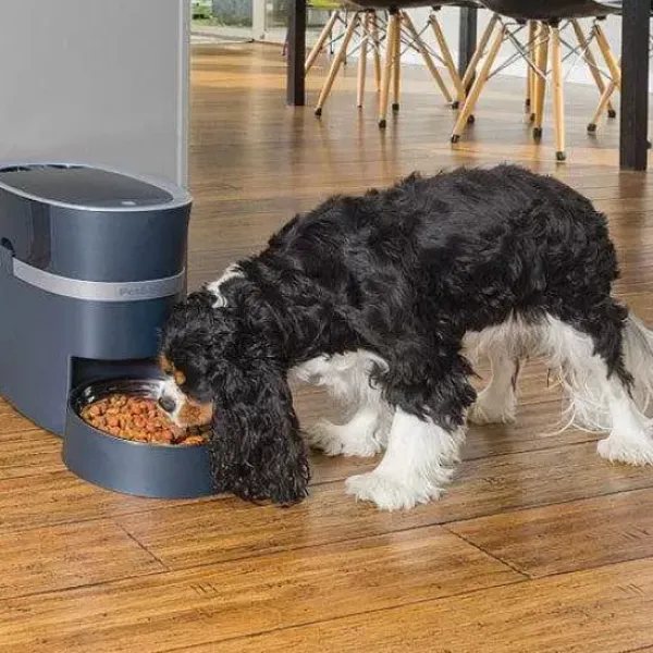 PetSafe Distributeur De Croquettes Connect Smart Feed De ® Pour Chiens Et Chats< Distributeurs De Nourriture