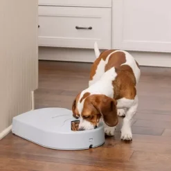 PetSafe Distributeur De Croquettes Pour Cinq Repas ®< Distributeurs De Nourriture