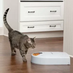 PetSafe Distributeur De Croquettes Pour Cinq Repas ®< Distributeurs De Nourriture