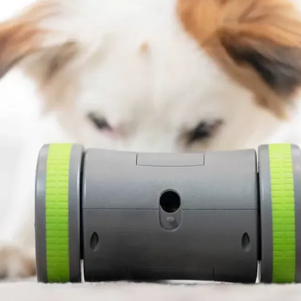 PetSafe Distributeur Mobile De Croquettes Kibble Chase De ®< Jouets Pour Chiens