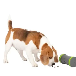 PetSafe Distributeur Mobile De Croquettes Kibble Chase De ®< Jouets Distributeurs De Friandises