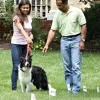 PetSafe Fil Et Fanions Suppl Mentaires< Systèmes Anti-Fugue