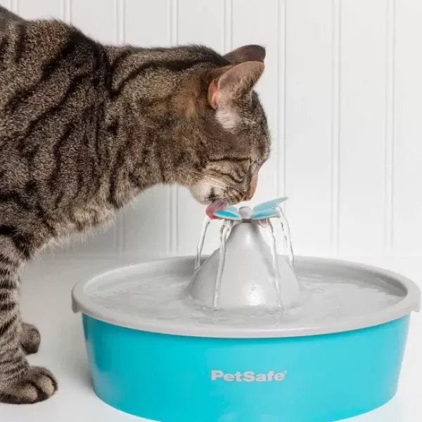 PetSafe Fontaine Eau Papillon Drinkwell® De Pour Animaux De Compagnie< Fontaines
