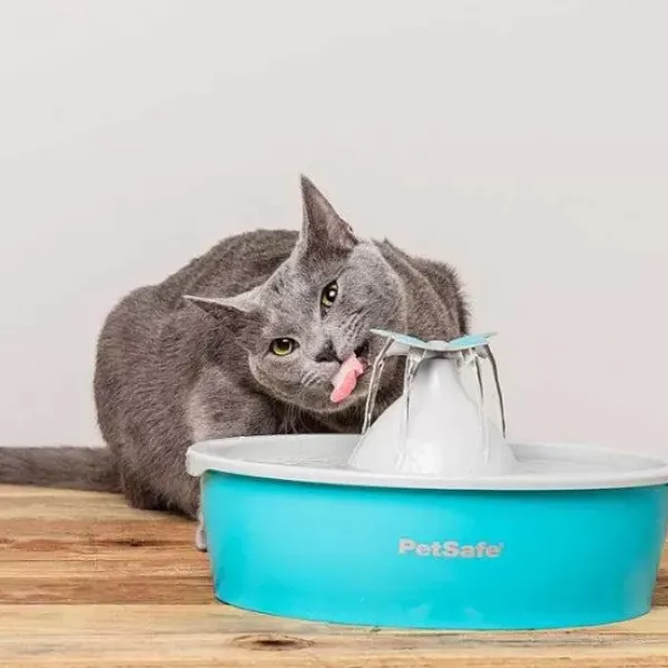 PetSafe Fontaine Eau Papillon Drinkwell® De Pour Animaux De Compagnie< Fontaines