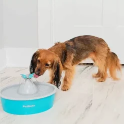 PetSafe Fontaine Eau Papillon Drinkwell® De Pour Animaux De Compagnie< Fontaines