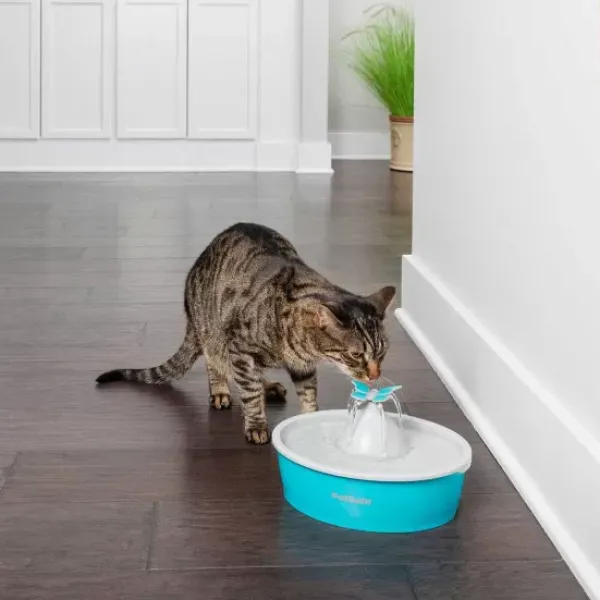PetSafe Fontaine Eau Papillon Drinkwell® De Pour Animaux De Compagnie< Fontaines