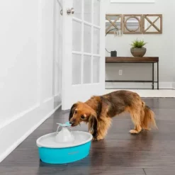 PetSafe Fontaine Eau Papillon Drinkwell® De Pour Animaux De Compagnie< Fontaines