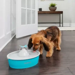 PetSafe Fontaine Eau Papillon Drinkwell® De Pour Animaux De Compagnie< Fontaines