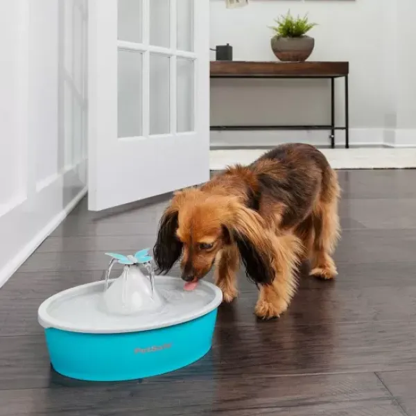 PetSafe Fontaine Eau Papillon Drinkwell® De Pour Animaux De Compagnie< Fontaines