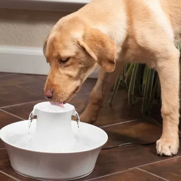 PetSafe Fontaine En C Ramique Pour Animaux De Compagnie Drinkwell® Avalon< Fontaines
