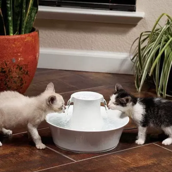 PetSafe Fontaine En C Ramique Pour Animaux De Compagnie Drinkwell® Avalon< Fontaines