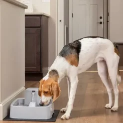 PetSafe Fontaine Pour Animaux De 3,7 Litres Drinkwell®< Fontaines