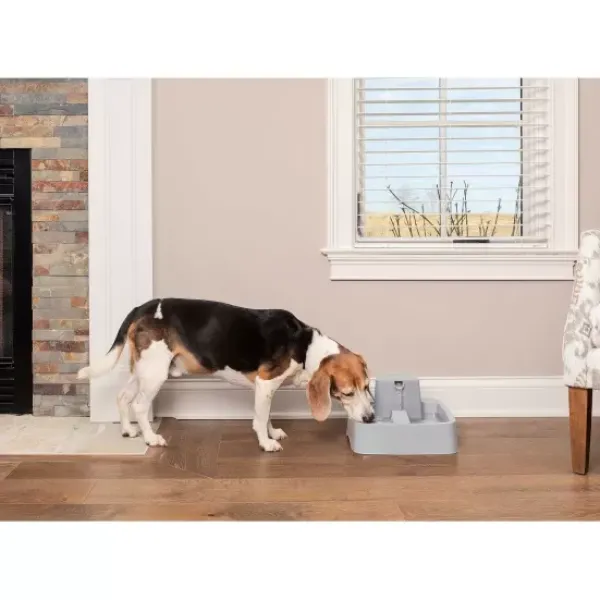 PetSafe Fontaine Pour Animaux De 3,7 Litres Drinkwell®< Fontaines