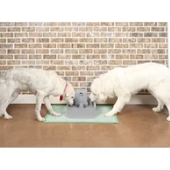 PetSafe Fontaine Pour Animaux De 7,5 Litres Drinkwell®< Fontaines
