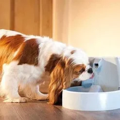 PetSafe Fontaine Pour Animaux De Compagnie Drinkwell® Original< Fontaines