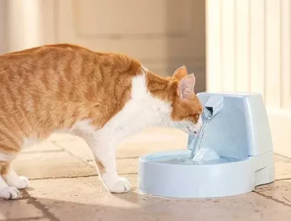 PetSafe Fontaine Pour Animaux De Compagnie Drinkwell® Original< Fontaines
