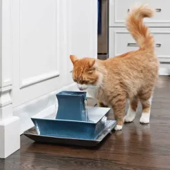 PetSafe Fontaine Pour Animaux De Compagnie Drinkwell® Pagoda< Fontaines