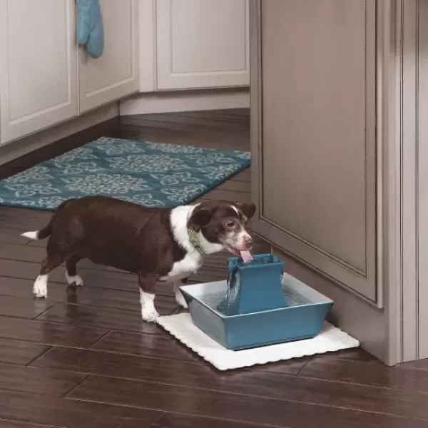 PetSafe Fontaine Pour Animaux De Compagnie Drinkwell® Pagoda< Fontaines