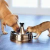 PetSafe Fontaine Pour Animaux De Compagnie En Acier Inoxydable 360 Drinkwell®< Fontaines
