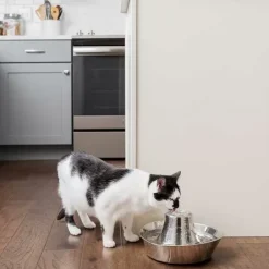 PetSafe Fontaine Pour Animaux De Compagnie En Acier Inoxydable 360 Drinkwell®< Fontaines
