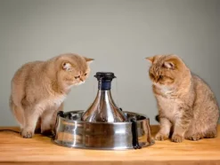 PetSafe Fontaine Pour Animaux De Compagnie En Acier Inoxydable 360 Drinkwell®< Fontaines