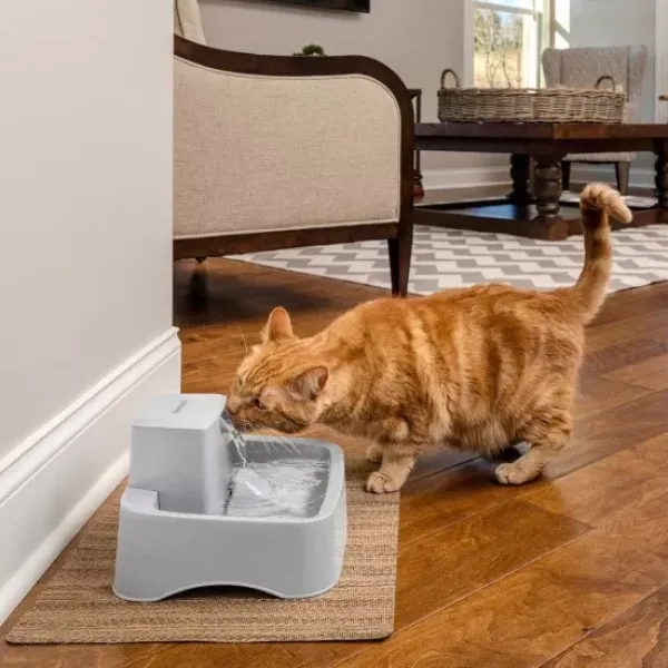 PetSafe Fontaine Pour Animaux De 1,8 Litres Drinkwell®< Fontaines