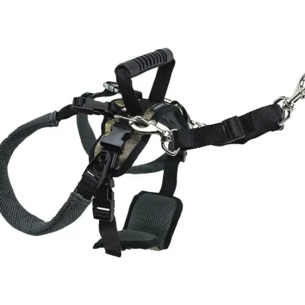 PetSafe Harnais De Levage Arri Re Carelift De ®< Accès Et Mobilité