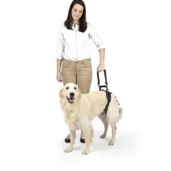 PetSafe Harnais De Levage Arri Re Carelift De ®< Accès Et Mobilité