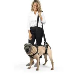 PetSafe Harnais De Levage Carelift De ®< Accès Et Mobilité