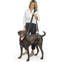 PetSafe Harnais De Levage Carelift De ®< Accès Et Mobilité