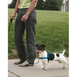 PetSafe Harnais Deluxe Easy Walk®< Colliers, Harnais Et Licols