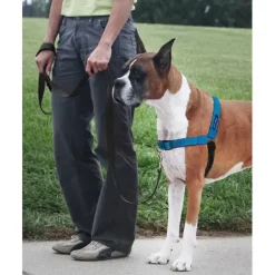 PetSafe Harnais Deluxe Easy Walk®< Colliers, Harnais Et Licols