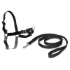 PetSafe Harnais Easy Walk®< Colliers, Harnais Et Licols